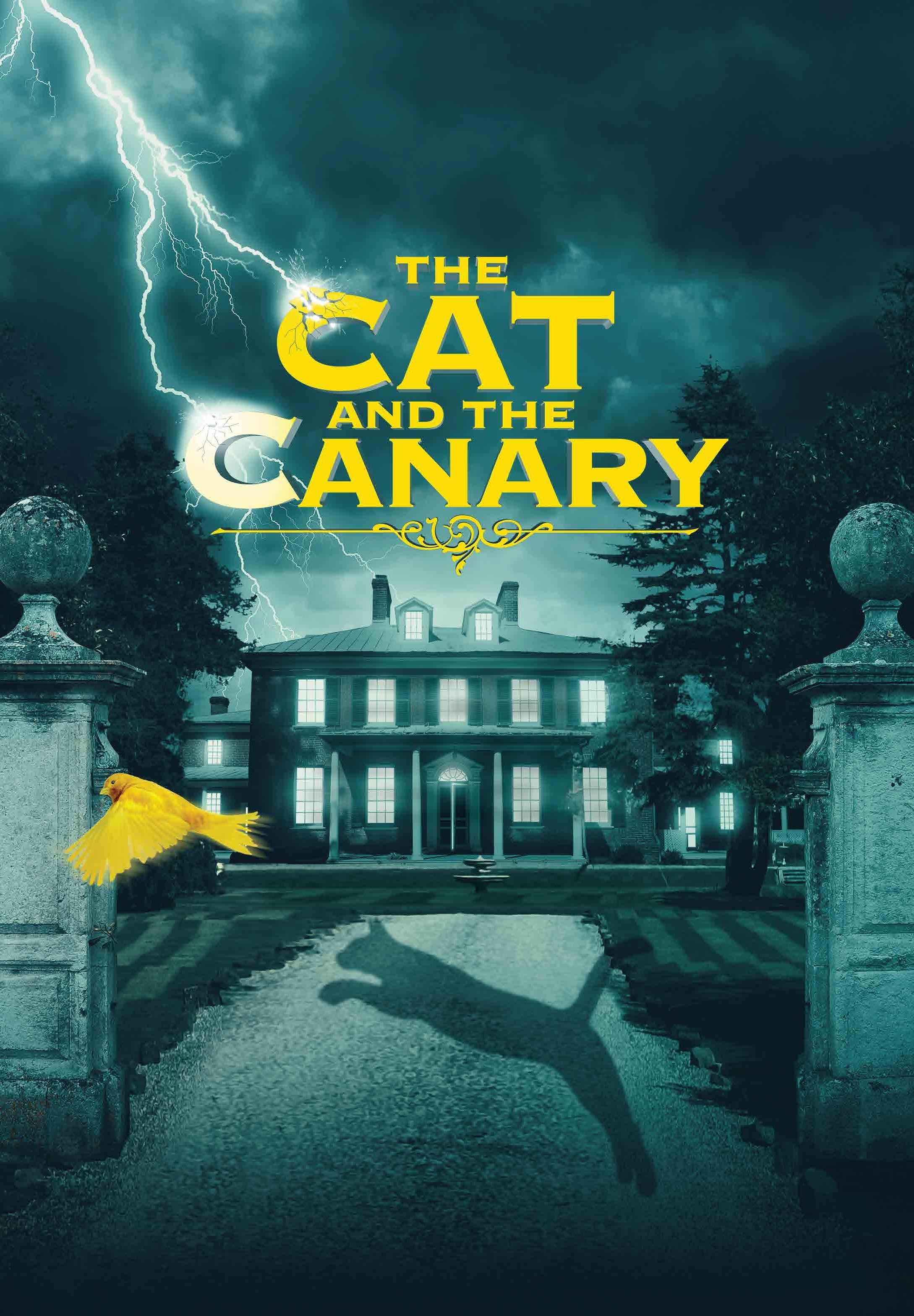 THE CAT AND THE CANARY TOUR 2020 THEATRE FLYERS X 4